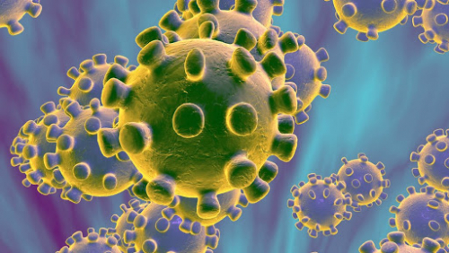 Coronavirus: Minister says no reason for panic in Slovenia