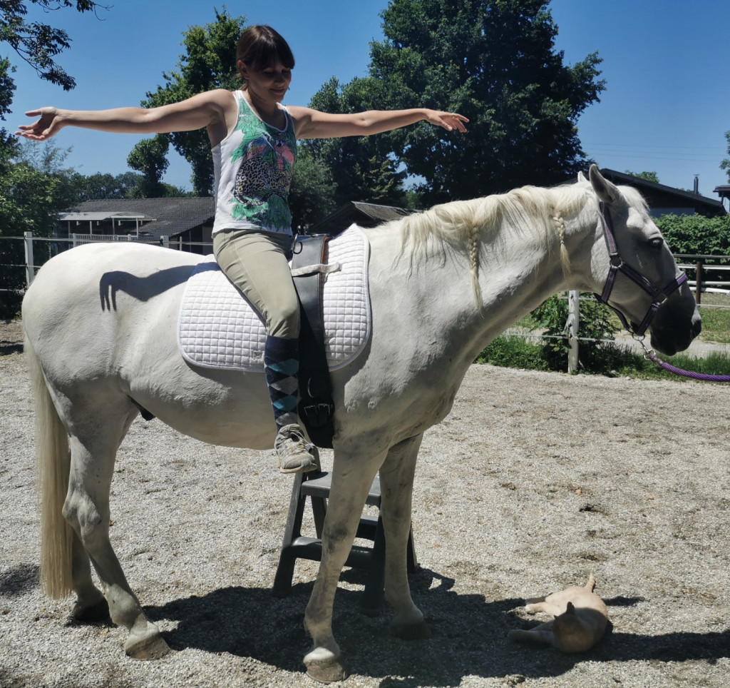 
				Konj se na nenadne reakcije jahača ne sme odzvati, zato mu pri &scaron;olanju omogočimo seznanitev z različnimi gibi ter glasovi.			