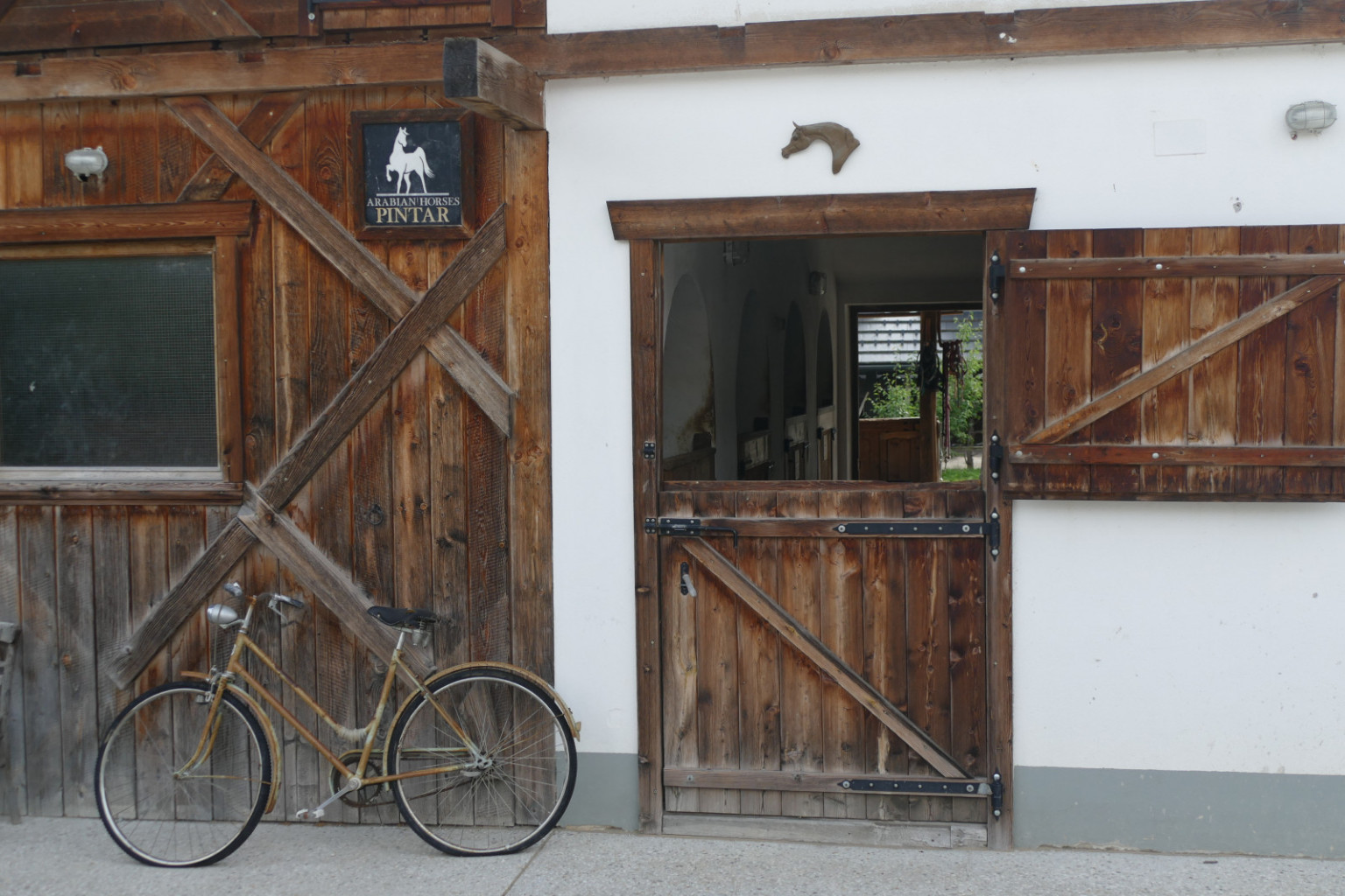 
				Hlev le nekaj metrov od doma -  sanje vsakega rejca			