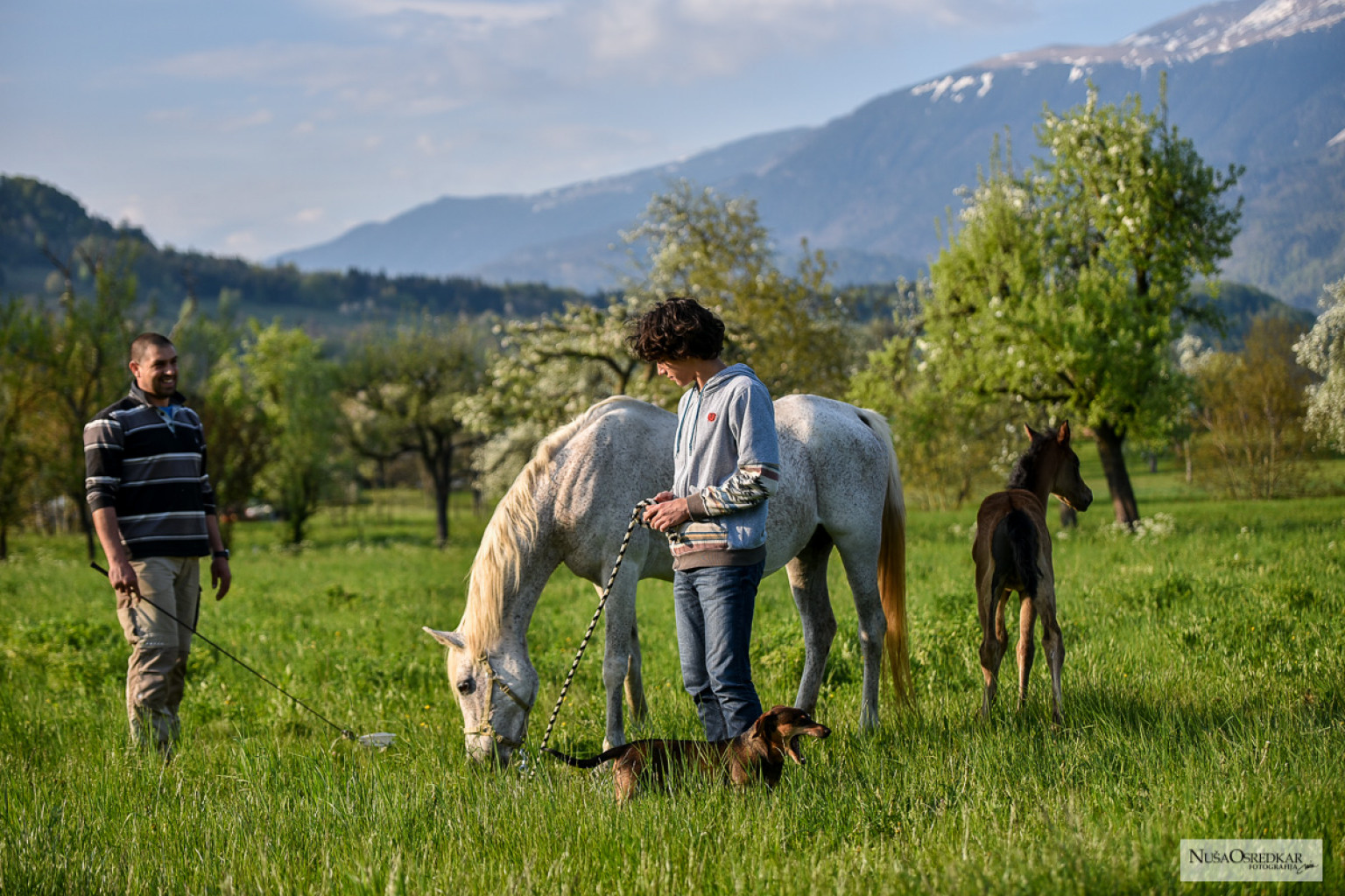
				Gregor, njegov sin Matevž, kobila Schardana in psička Iza			