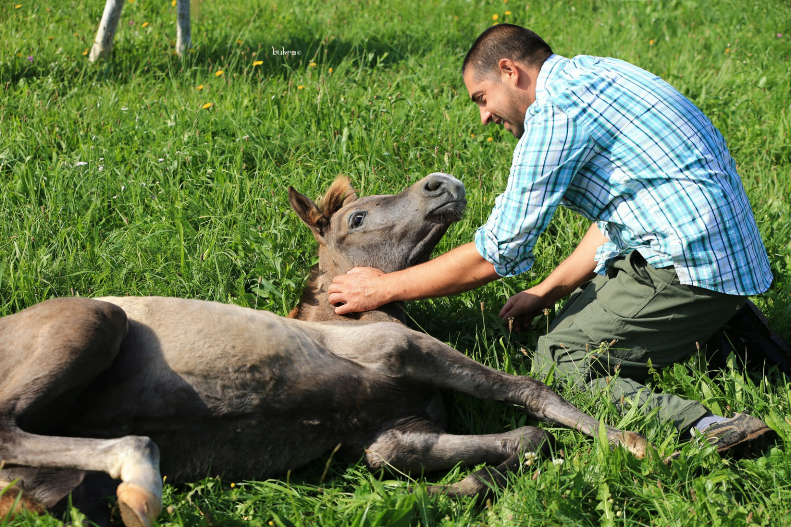 
				Z žrebičko na pa&scaron;niku 			