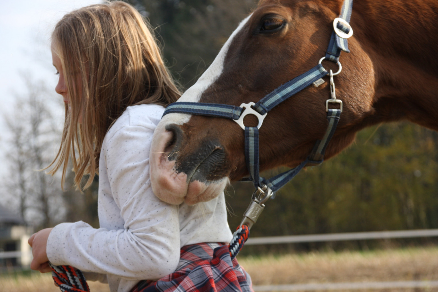 
				Konj z veseljem sodeluje, če najde ugodje v sodelovanju. 			