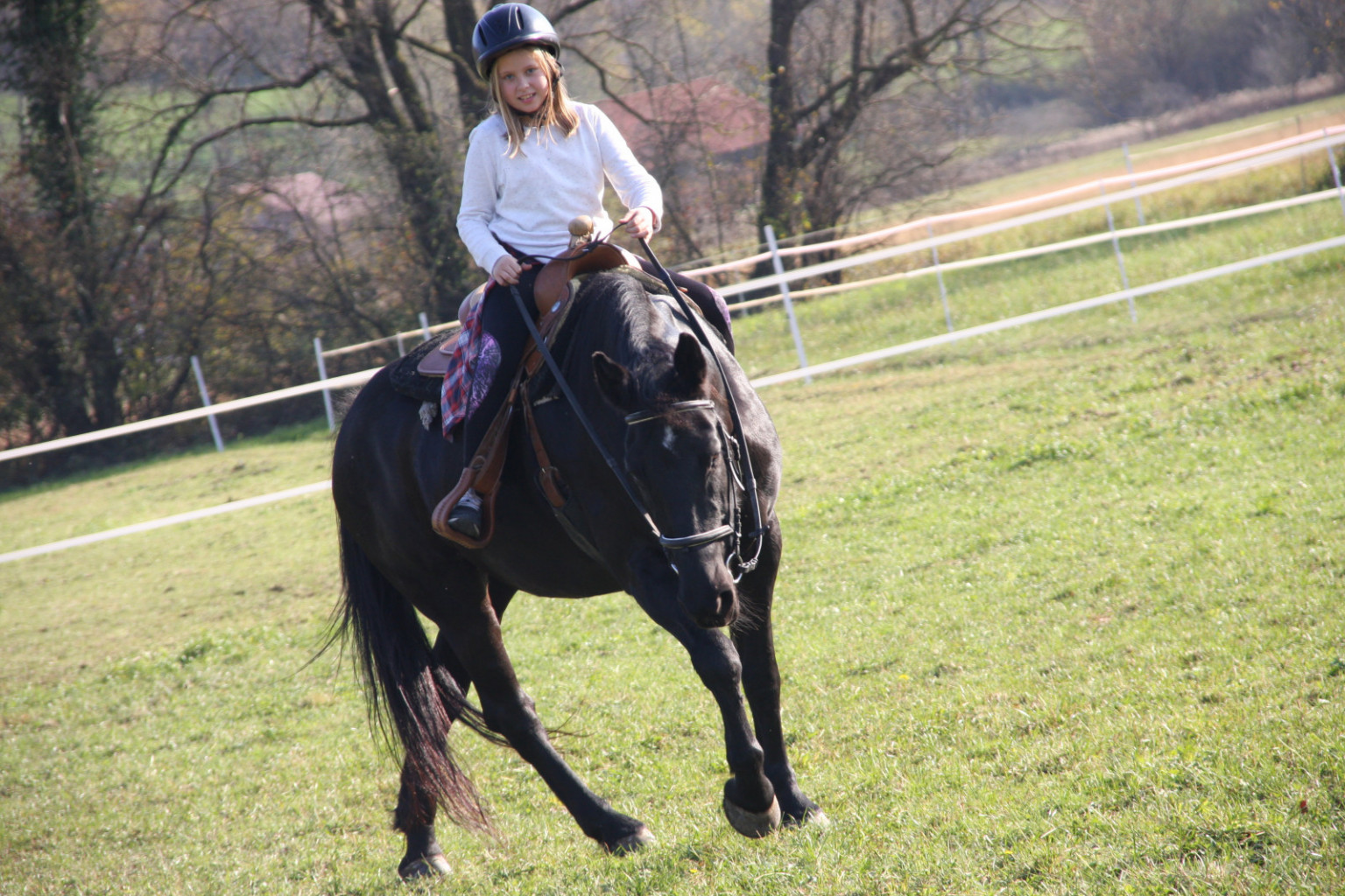 
				Senzibilno komuniciranje naredi jahača senzibilnega in konja odzivnega.			