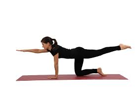 Geneyoga NUTRI – Genjoga