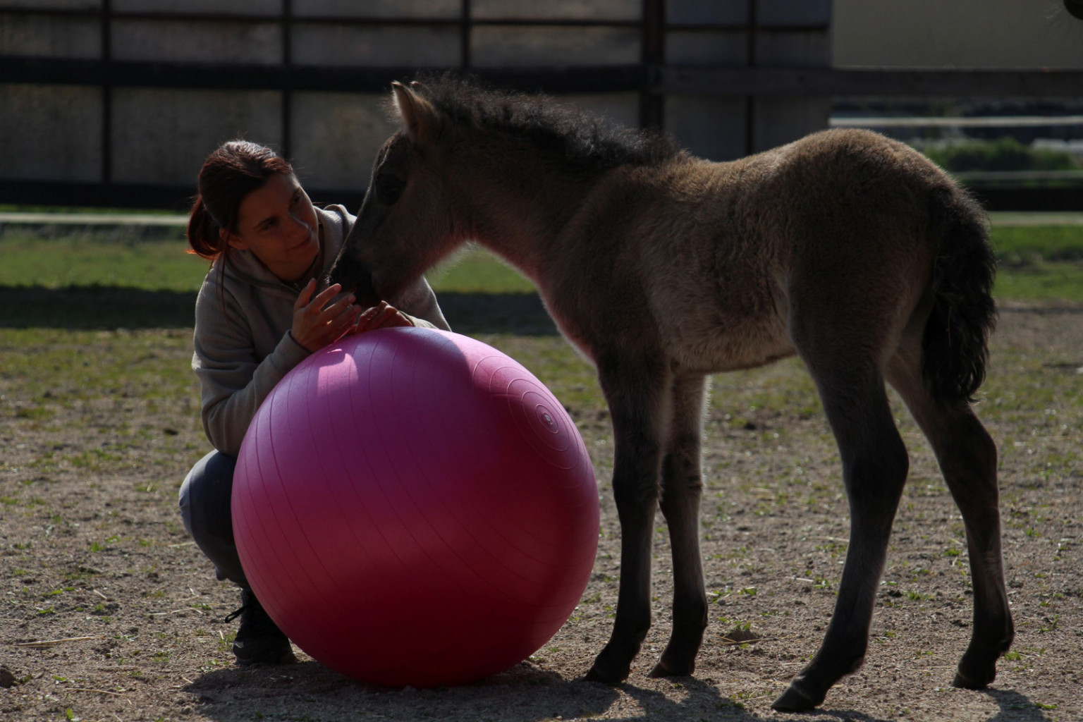 
				Pridobivanje zaupanja se začne že zgodaj.			