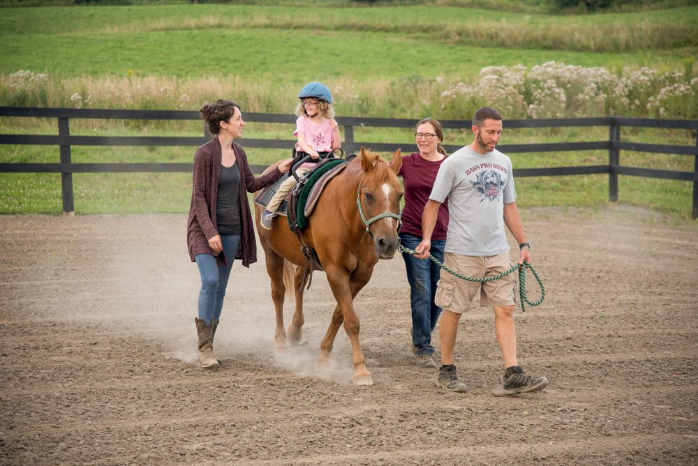 
				Gibanje konja mora biti optimalno; torej sestavljeno iz dolgih, mehkih, enakomernih, harmoničnih in elastičnih korakov, ki tvorijo ustrezne impulze in jih preko nihljajev konjevega hrbta učinkovito prena&scaron;ajo na jahača. 			