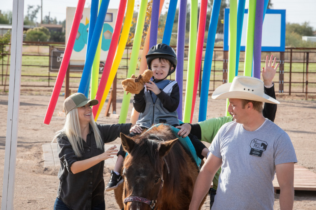 
				Konj je del terapevtskega tima in mora biti predvsem zanesljiv in varen.			