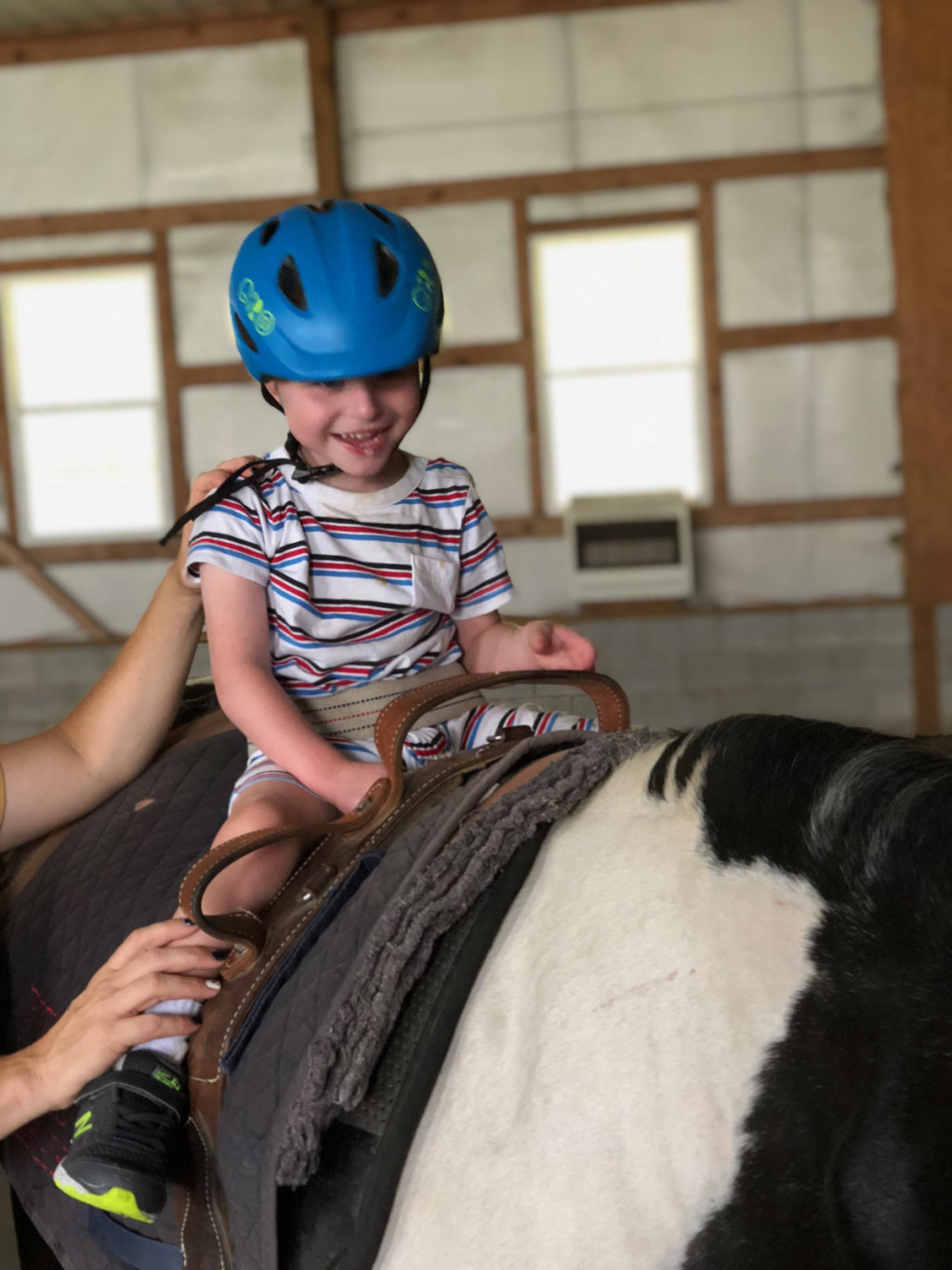 
				Vi&scaron;ina vihra, ki mora biti izrazit in dolg, vendar ne previsok, naj bi bila od 150 do 158 cm, kar se do neke meje lahko prilagaja vi&scaron;ini terapevta, saj mora ta zaradi varnosti in terapije vedno doseči ramo pacienta na konju. 			