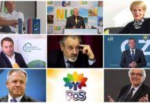 Povežimo Slovenijo: prihaja resna politična opcija, ki stavi na povezovanje  raznolikosti in regionalne ase - Domovina