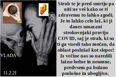 Slovenski in svetovni politični hlev na dan 11.2.21