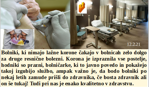 Slovenski in svetovni politični hlev na dan 12.2.21