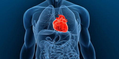 Glasni NE (!) spreminjanju ljudi v umsko uspavane prestrašence !