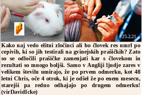 Slovenski in svetovni politični hlev na dan 25.2.21