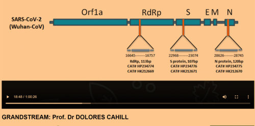 Irska: prof. dr. Dolores Cahill: Pandemije COVID-19 NI