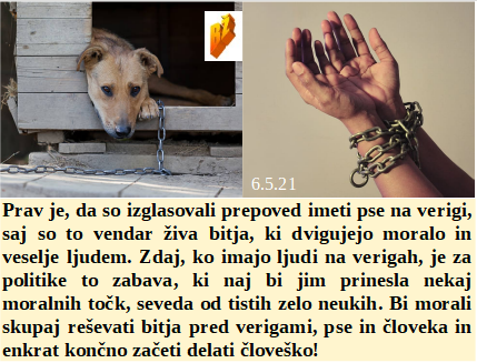 Slovenski in svetovni politični hlev na dan 6.5.21