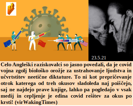 Slovenski in svetovni politični hlev na dan 23.2.21