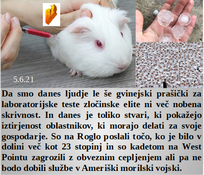 Slovenski in svetovni politični hlev na dan 5.6.21
