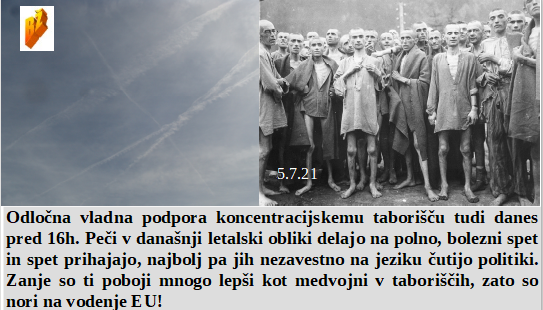 Slovenski in svetovni politični hlev na dan 5.7.21