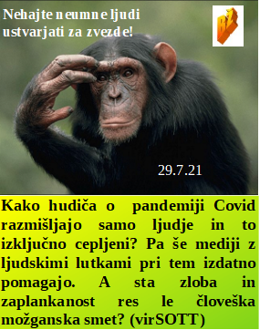 Slovenski in svetovni politični hlev na dan 29.7.21