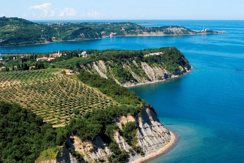 
				srednja slovenska obala je pripadla Sloveniji, severna slovenska obala Italiji, južna slovenska obala pa Hrva&scaron;ki			
