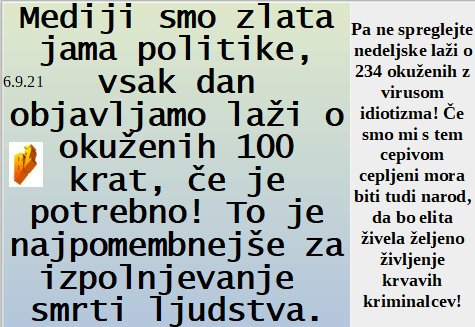 Slovenski in svetovni politični hlev na dan 6.9.21