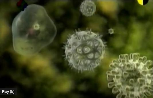 Tako nas hočejo ČIPIRATI (cepiti)!