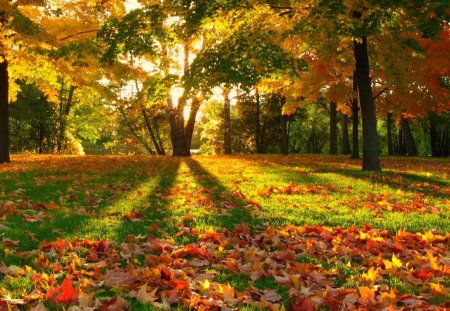 Deveto novo duhovno spoznanje