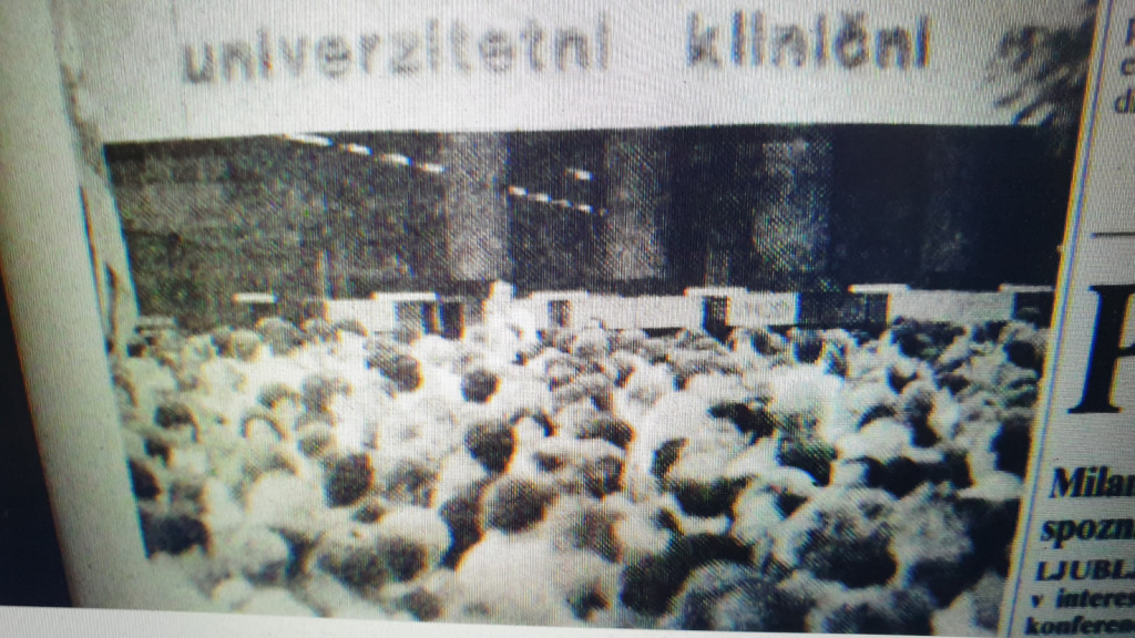 				Delo 10.10.1991 posnetek ekrana			