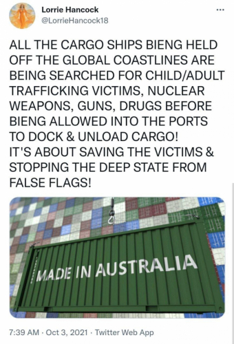 Na vseh tovornih ladjah iščejo otroke, odrasle, žrtve trgovine z ljudmi, jedrsko orožje in drogo