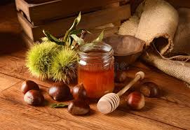 348 Chestnuts Honey Photos - Free & Royalty-Free Stock Photos from Dreamstime