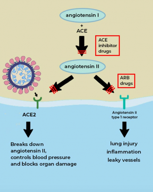 odprto-pismo-slika-7