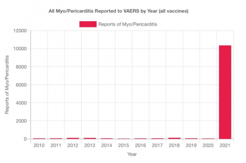 odprto-pismo-slika-8