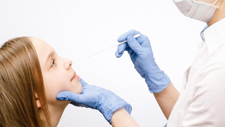 Analiza testnih paličic PCR, ki vam jih rinejo v nosno votlino