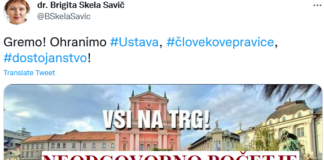 
				Sporni tvit dr. Birigte Skela Savič. (Foto: Posnetek zaslona-Twitter)			