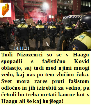 Slovenski in svetovni politični hlev na dan 14.11.21