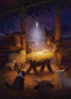 Daniel Rodgers | Advocate Art