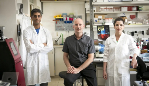 Profesor Ehud Qimron: "Ministrstvo za zdravje, čas je, da priznamo neuspeh"