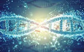 Određuju li geni na&scaron;u sudbinu