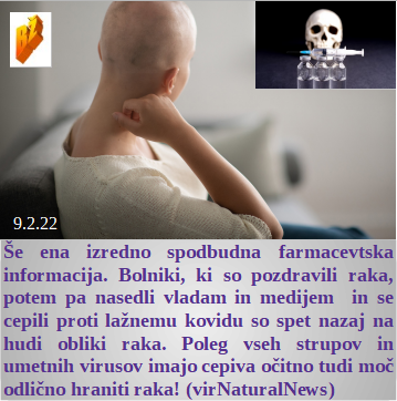 Slovenski in svetovni politični hlev na dan 9.2.22