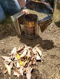 Simple guide to lighting a bee smoker | Perth Honey Company