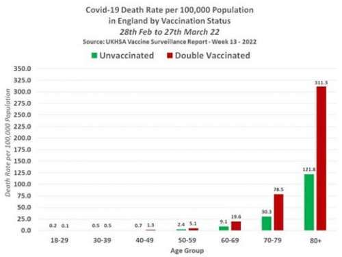 Kliknite za povečavo umrljivost zaradi covida