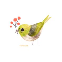 100 Birds &mdash; Stephanie Fizer Coleman