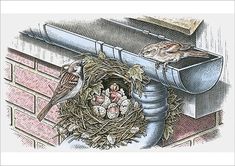 An A2 poster sized print, approx 16