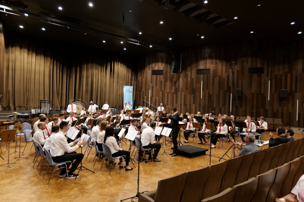 
				Pihalni orkester Divača			