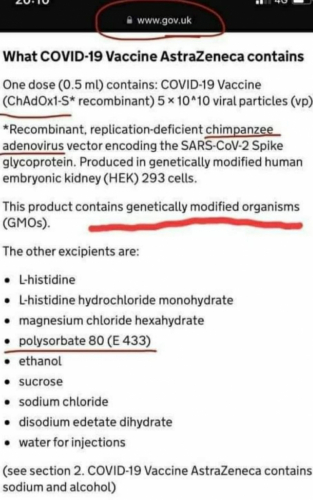 Piščanec je varen za užitje - je brez GSO. A taista zadeva v c€pivu pa je ok?