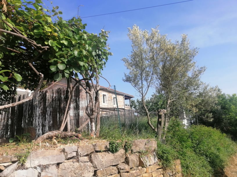 
				Foto: Luka Per&scaron;			