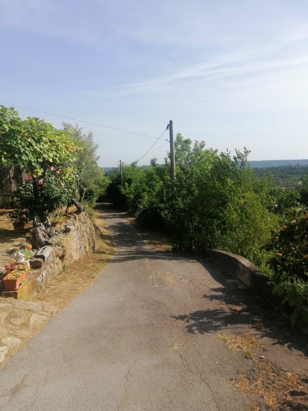 
				Foto: Luka Per&scaron;			