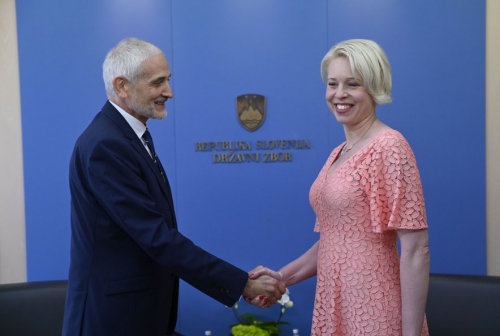 Predsednik Vrhovnega sodi&scaron;ča Damijan Florjančič je predsednici DZ pred kratkim predal letno poročilo o učinkovitosti in uspe&scaron;nosti sodi&scaron;č v preteklem letu.