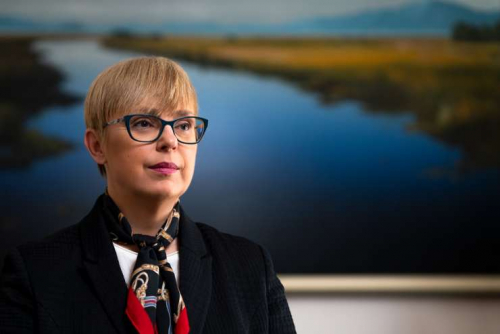 Ustavite Nata&scaron;o Pirc Musar! (KOLUMNA)