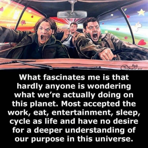 A RAZUMETE, DA GRE ŽIVLJENJE SAMO NAPREJ, NAPREJ, NAPREJ?